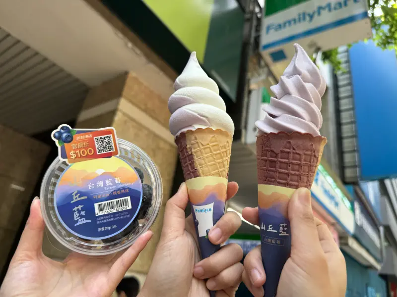 ▲全家「山丘藍台灣藍莓」霜淇淋口味將在4月3日登場，以新鮮台灣藍莓製成，微酸中帶甜，是款大人系甜點。（圖／記者鍾怡婷攝）