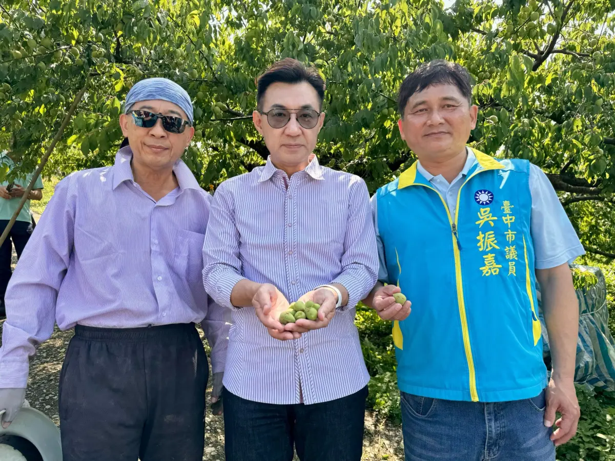 ▲立法院副院長江啟臣、議員吳振嘉及農政相關單位共同現勘東勢區多處果園受損情形(圖／江啟臣服務處提供2024.4.2)