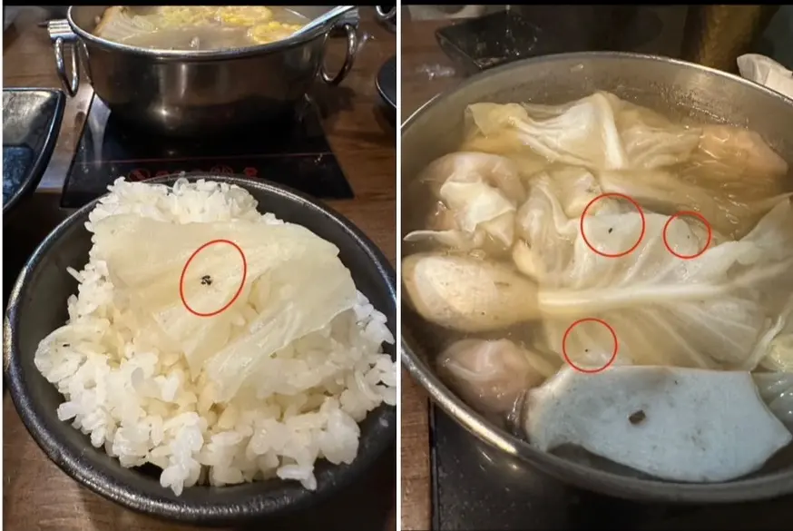 ▲網友到台中市惹鍋南屯店用餐，火鍋和菜盤上出現許多蟲子。（圖／翻攝Dcard，2024.04.02）