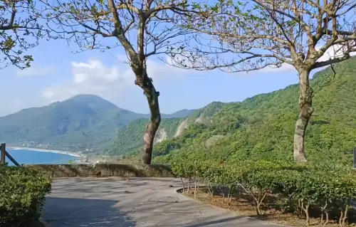 ▲有民眾今（3）日上午正好騎乘自行車行駛在花蓮豐濱鄉台11線，停下休息拍照時卻突然遇上強震，讓他立刻用手機錄影記錄下當時情況。（圖／取自爆廢1公社）