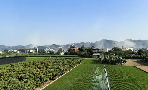 九九峰山體崩落！前空軍參謀官曬震撼照　強震後「恐怖沙塵漫天」
