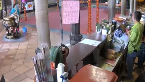 ▲強震發生當下,廟宇內還有參拜民眾。(圖/翻攝臉書新莊慈祐宮(媽祖宮)) ▲強震發生當下,廟宇內還有參拜民眾。(圖/翻攝臉書新莊慈祐宮(媽祖宮))