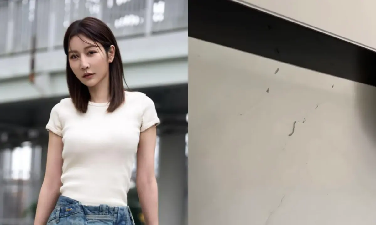 ▲曾莞婷實錄地震影片嚇喊「我家牆都裂了」。（圖／翻攝曾莞婷臉書）