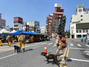 7.2強震汪汪隊奔赴救災！救難犬集結身影曝光　眾聲援：拜託平安
