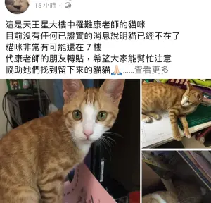 女老師為救貓不幸罹難 天王星今將拆除...友人急發文協尋小橘貓