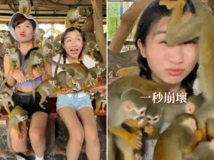 影／世上最好玩的親子動物園　猴群包圍洗臉、餵鱷魚！還能遛老虎
