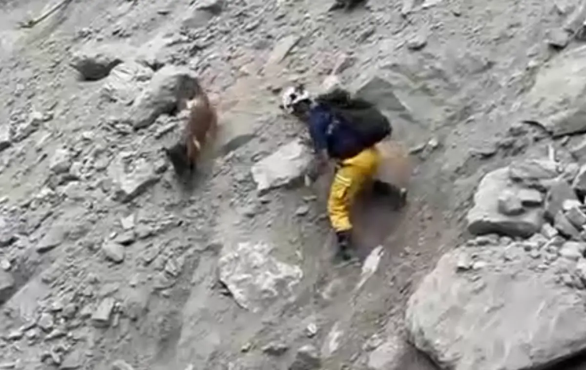 ▲特搜隊成員與搜救犬攀爬90度的陡坡，一旁的礫石不時往下滑落，現場狀況險象環生。（圖／翻攝畫面）