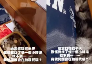 ▲貓咪遇到地震時自己躲到抽屜裡面,且抽屜還關上,讓飼主找了四小時找不到愛貓。(圖/) ▲貓咪遇到地震時自己躲到抽屜裡面,且抽屜還關上,讓飼主找了四小時找不到愛貓。(圖/)