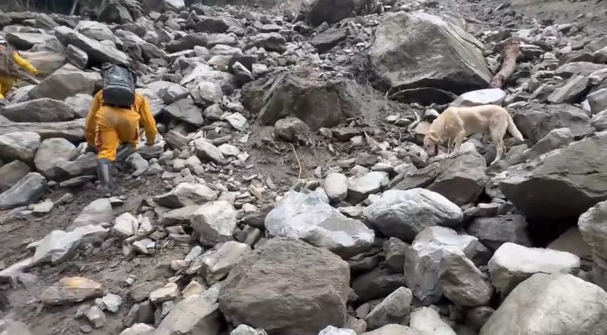 ▲高雄搜救犬Roger在沙卡噹步道找到第三具遺體。（圖／翻攝畫面）
