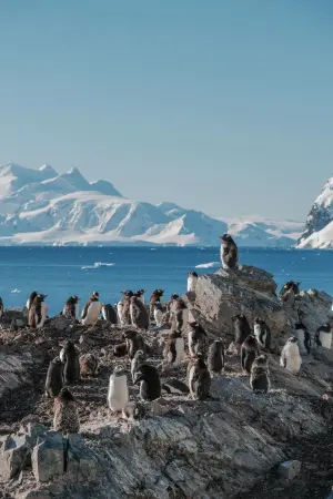 ▲Eden也公開自己環遊世界的總花費，旅費部分是150萬元，還有到南極看企鵝，花費讓不少人大感意外，認為CP值非常高。（圖/Eden授權提供）
