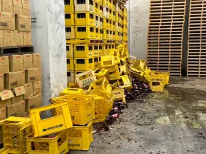 酒氣沖天!花蓮酒廠「1萬6千打酒品」被震破灑滿地 損失逾1400萬