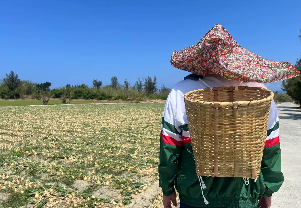 ▲潘孟安分享，大家若到恆春走走，可別忘了帶一手落山風下的洋蔥回去。（圖／潘孟安臉書）
