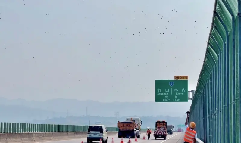 ▲3月26日高公局啟動今年第1次國道讓蝶道，封閉國道3號251K-253K外側車道。（圖／高公局提供）