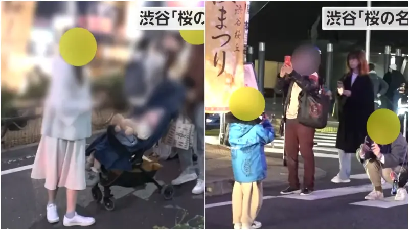 ▲日本知名賞櫻景點變成「無法地帶」,不少賞櫻民眾不顧危險跑到馬路上拍照。(圖/翻攝自《FNN》)