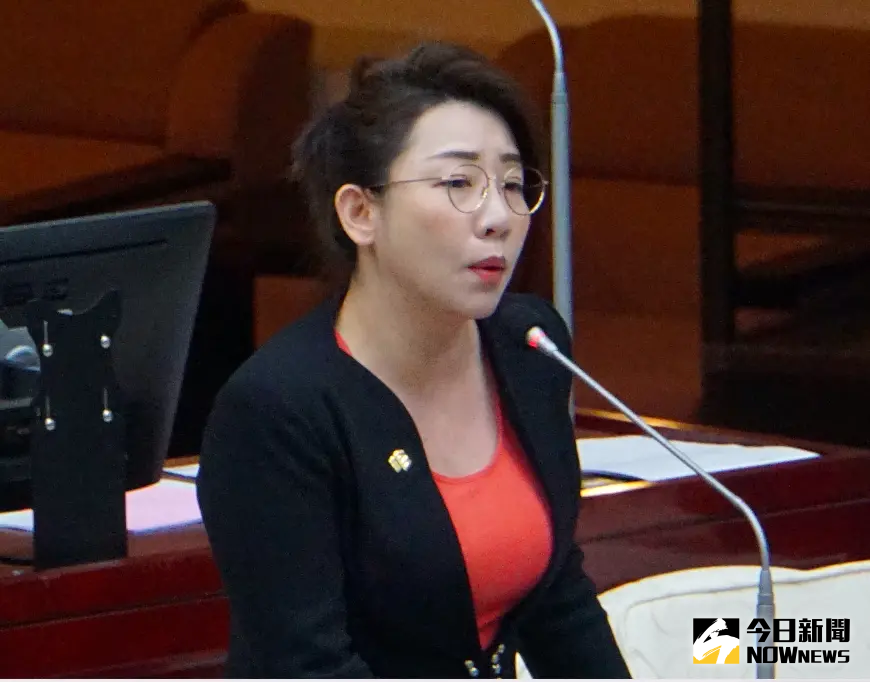 ▲民眾黨台北市議員林珍羽市議會質詢。（圖／記者呂炯昌攝，2024.04.11）
