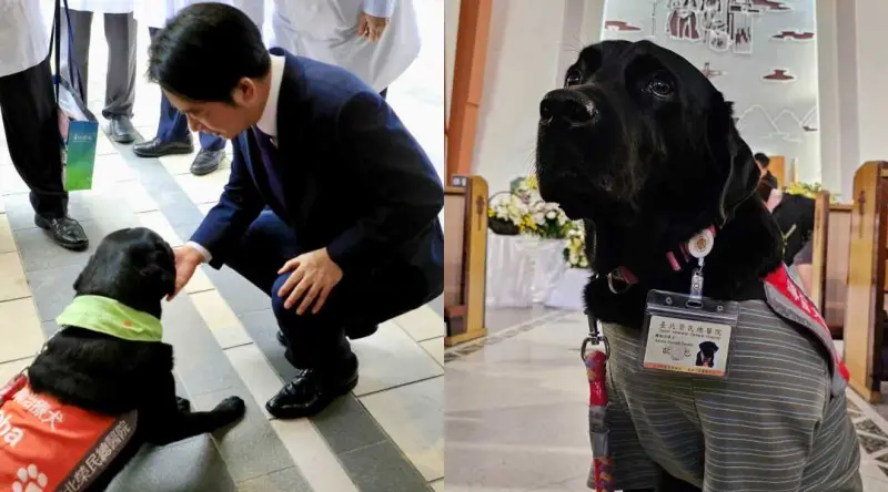 ▲賴清德參訪北榮重粒子癌症中心，會後在場外半蹲輕撫全台灣第一隻「安寧病房輔助治療犬」Oba。（左圖：讀者提供、右圖：翻攝Oba臉書）