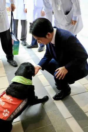 ▲賴清德參訪北榮重粒子癌症中心，會後在場外半蹲輕撫全台灣第一隻「安寧病房輔助治療犬」Oba。（圖／讀者提供）
