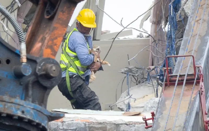 ▲天王星大樓拆除現場工作人員搭乘雲梯車，爬上瓦礫堆候成功將康老師的貓咪救下。（圖／讀者提供）