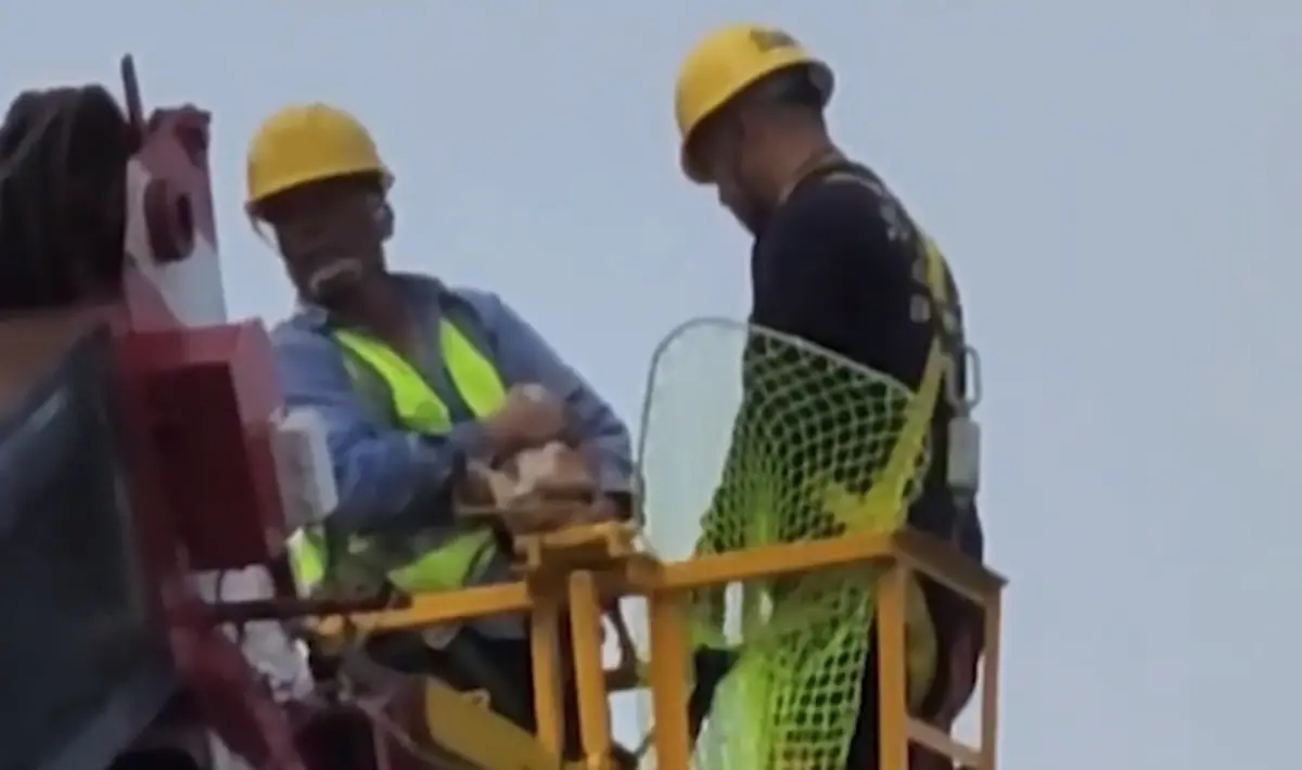 ▲康老師橘貓被救出。（圖／讀者提供）