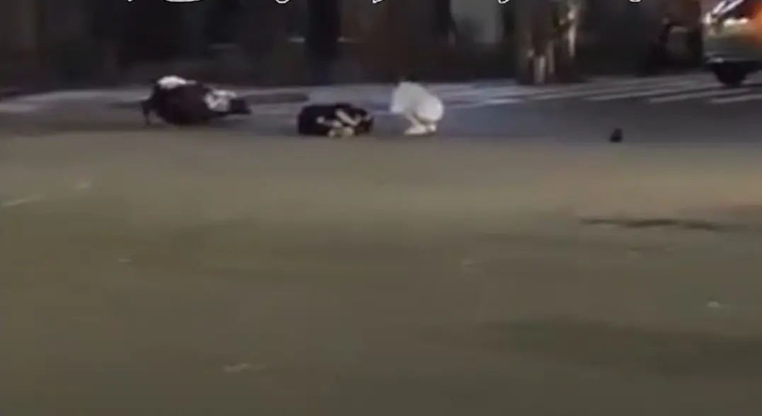 ▲游姓重機騎士與對向左轉車發生碰撞，導致游男重摔倒地、陷入昏迷。（圖／翻攝畫面）