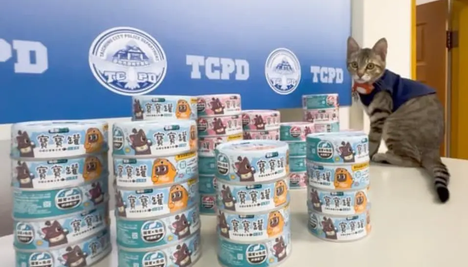 ▲ 招牌貓咪警官「伍丼么」近期收到熱情粉絲送上「罐罐大禮包」。（圖／取自翁子派出所臉書）