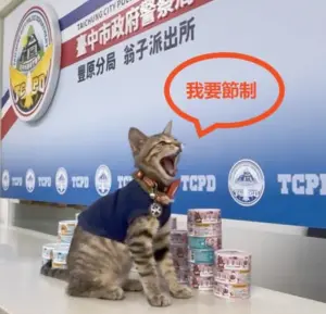 ▲ 貓咪警官「伍丼么」看著堆成小山的罐罐的可愛模樣。（圖／取自翁子派出所臉書）