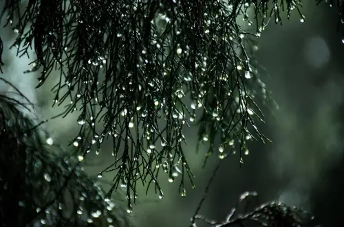 4/20穀雨遇上媽祖生日！開財運秘訣、穀雨禁忌一覽：不可亂發脾氣
