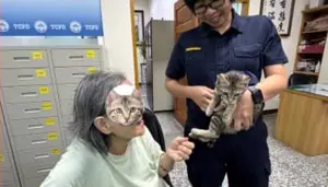 貓咪警長立大功!「伍丼么」賣萌讓迷路嬤破涕為笑 下秒呼呼大睡