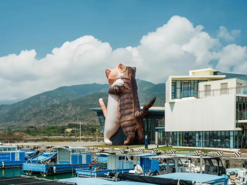 日本「極度日常」登屏東看海美術館　14公尺「擁抱貓咪」最療癒