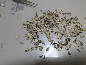 ▲Tomo挑出萬元鈔票的紙屑，並開始著手拼圖還原。（圖／取自X@C8kCGa5jT0LlbuA）