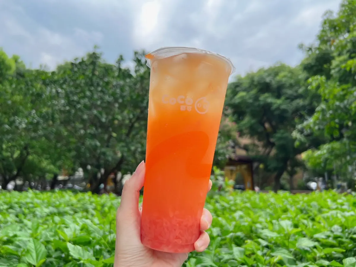 ▲5月報稅季划算喝手搖飲料，CoCo都可週三好友日葡萄柚果粒茶「第2杯0元」；星巴克foodomo「買一送一」隱藏優惠有星冰樂；Uber Eats外送也有「烏弄買一送一」優惠一覽。（圖／CoCo都可提供）