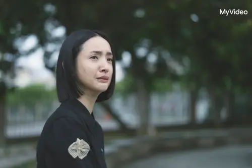 ▲。(圖/公視、MyVideo提供) ▲。(圖/公視、MyVideo提供)
