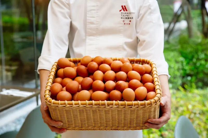 何謂「非籠飼雞蛋」？台北萬豪與晶華酒店搶著用　特色優點一次看