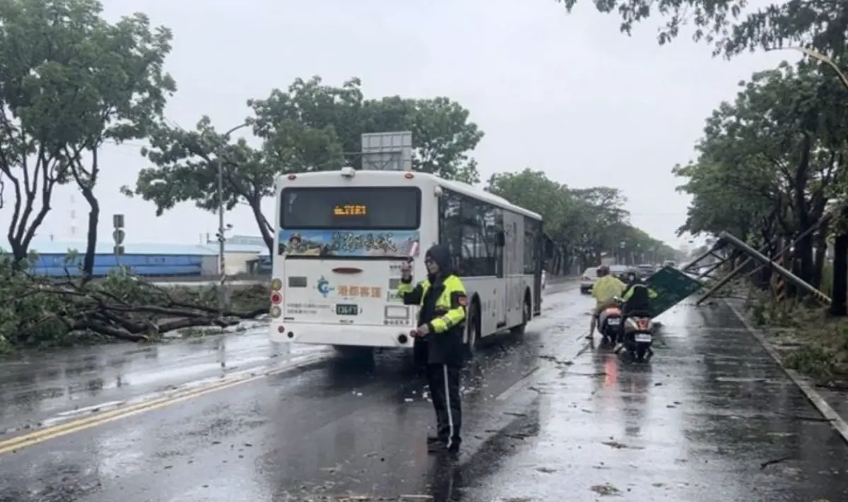 ▲（圖／翻攝畫面）