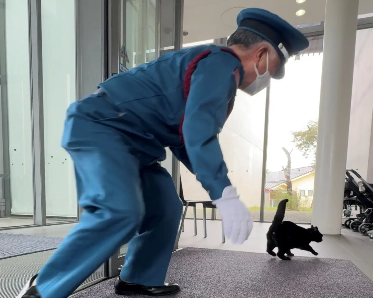 ▲位於廣島縣的尾道市立美術館，多年來上演的「貓咪大戰警衛北北」戲碼，讓許多日本民眾津津樂道。（圖／翻攝自尾道市立美術館X平台）