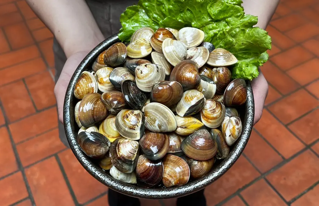 ▲「打狗霸」針對母親節檔期推出優惠，2024年5月3日起至5月19日，只要帶母親四人同行用餐，媽媽出示身份證件，同行中最年長母親今年幾歲，就送幾顆蛤蜊。（圖／打狗霸提供）