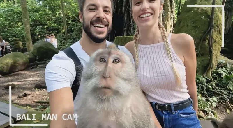 ▲英國網紅夫妻前往印尼峇里島旅遊，和猴子一起自拍。（圖／翻攝自影片） 