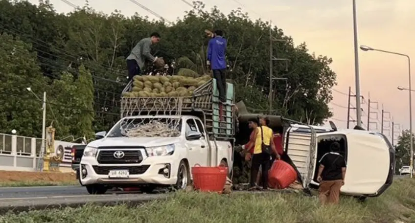 ▲一輛載著1噸榴槤的小卡車翻覆，造成該地附近臭氣熏天。（圖／翻攝自khaosod）