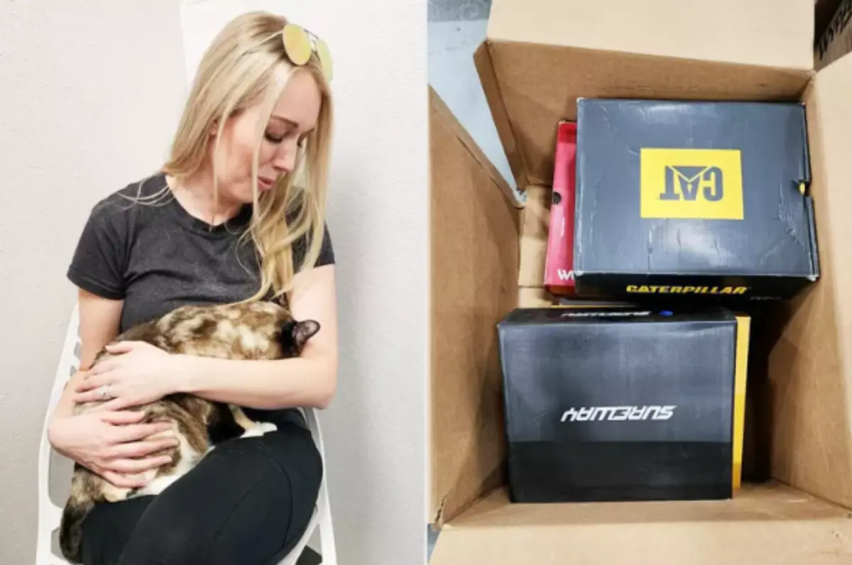 ▲美國猶他州一隻叫加利娜的貓咪，因為躲在退貨箱裡玩耍、未被主人察覺，導致牠被寄送上千公里至加州，所幸現已平安與主人團聚。（圖／翻攝自The People）
