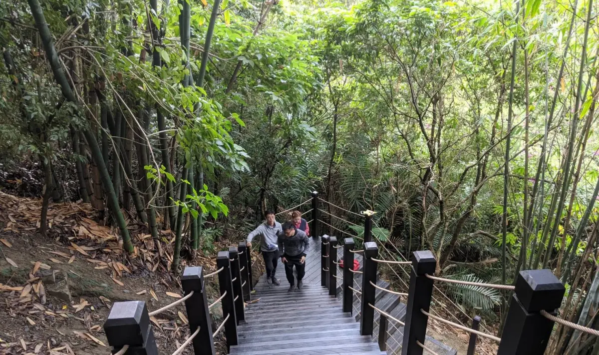 ▲台中大坑以步道聞名，步道兩旁仍有許多筍農耕種的竹林。（圖／台中市政府提供，2024.04.29）