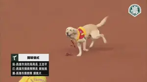 ▲萬斯接獲了轉交的球之後,一度衝到外野。(圖/取自YT@台鋼雄鷹) ▲萬斯接獲了轉交的球之後,一度衝到外野。(圖/取自YT@台鋼雄鷹)