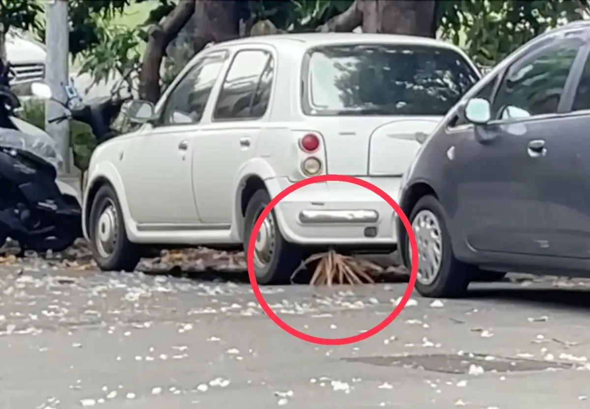 ▲一名網友在臉書社團曬出影片，表示他在路上看到一個不明生物，長相奇異且高速走動。（圖／翻攝自臉書社團「路上觀察學院」）