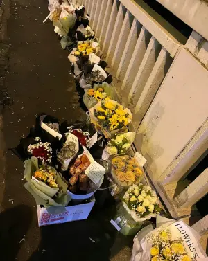 ▲網友自發性買了花束、食物等,放在胖貓生前待的最後一個地方。(圖/取自微博) ▲網友自發性買了花束、食物等,放在胖貓生前待的最後一個地方。(圖/取自微博)