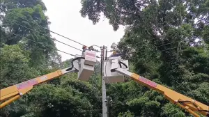 桃園頻停電遭疑另有隱情！台電揭1數字真相：政治口水勿淹沒汗水
