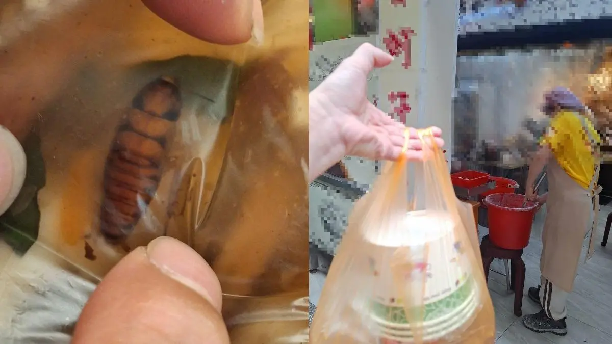 ▲有汐止民眾控訴，買到的羹湯內竟然有整隻大蟑螂漂浮，嚇得立刻告知店家。（圖／翻攝汐止集團）