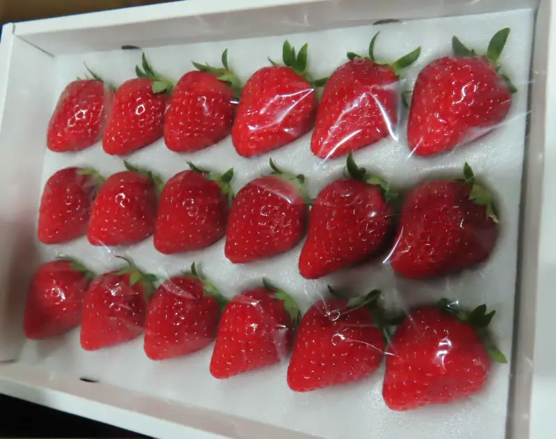 ▲食藥署查驗日本輸入鮮草莓農藥檢出殘留阿納寧，依規定退運或銷毀。（圖／食藥署提供）