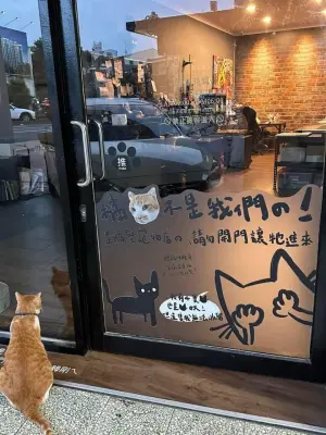 ▲橘貓在門口痴痴地望著店內,背景好寂寞。(圖/翻攝貓咪也瘋狂俱樂部 CrazyCat club臉書) ▲橘貓在門口痴痴地望著店內,背景好寂寞。(圖/翻攝貓咪也瘋狂俱樂部 CrazyCat club臉書)