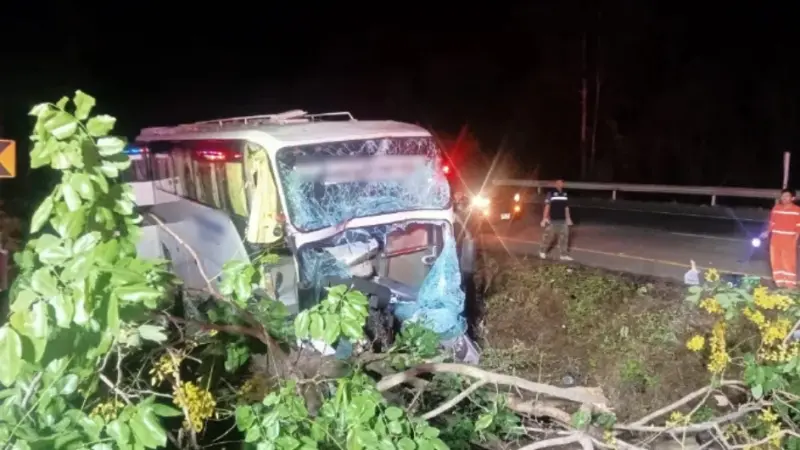 載中國旅客巴士撞樹致1死33傷！泰國清邁往曼谷大巴致命車禍