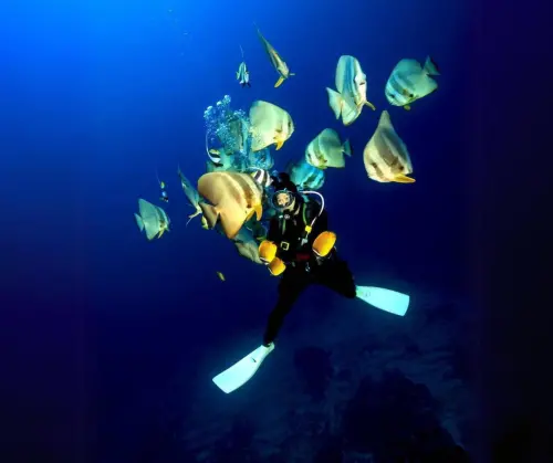 ▲彈頭熱愛潛水，近來錄製實境節目《沖繩潛規則》。（圖／美秀創意提供）