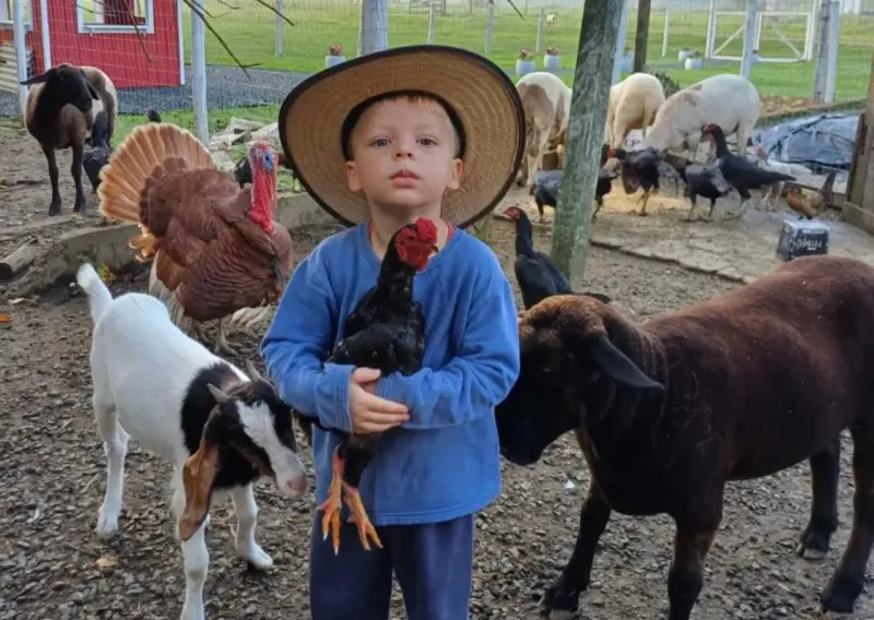 ▲巴西一位年僅三歲的小農夫柏格斯(Heitor Borges) ，深受小動物們的喜愛。（圖／翻攝ig@bebecampeiro_oficial）